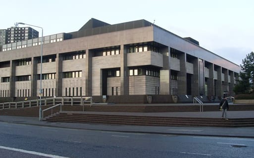 Acting as an expert or professional witness