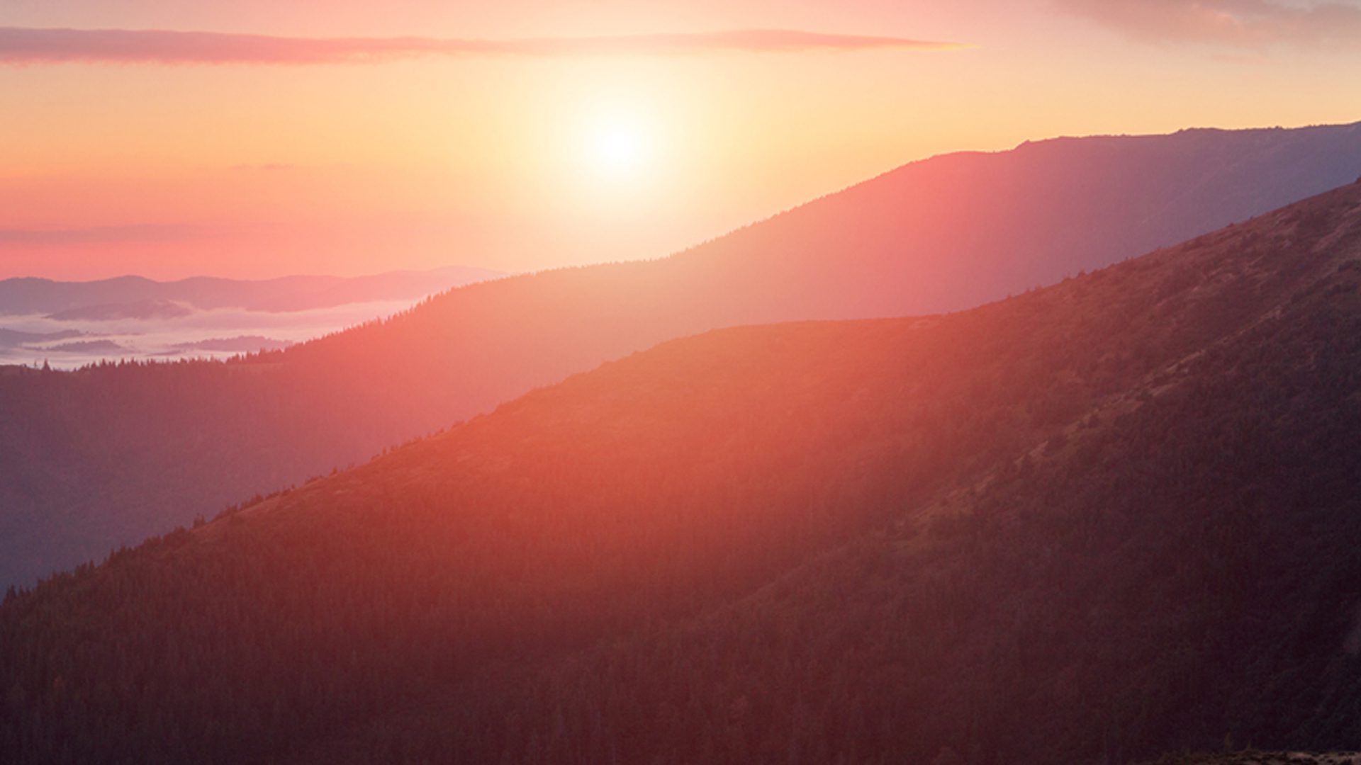 Time to Heal: investment in practitioner wellbeing is ‘not a luxury, but a necessity’